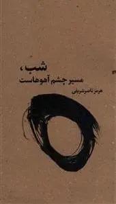 عکس شب٬ مسیر چشم آهوهاست