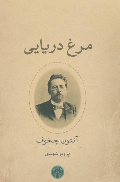 عکس مرغ دریایی
