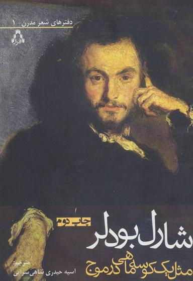 عکس مثل یک کوسه ماهی در موج