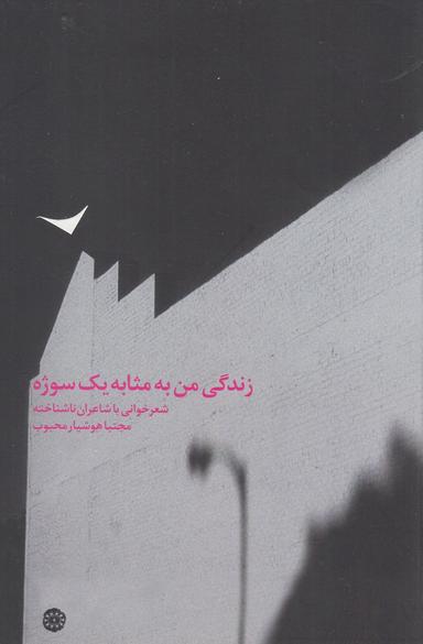 عکس زندگی من به مثابهٔ یک سوژه