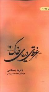 عکس غرقهٔ دریای خاک