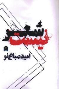 عکس این نوشته‌ها شعر نیست
