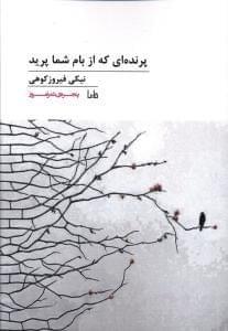 عکس پرنده‌ای که از بام شما پرید