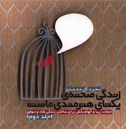 عکس زندگی صحنهٔ یکتای هنرمندی ماست (۲)