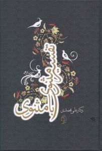 عکس تفسیر مثنوی با مثنوی