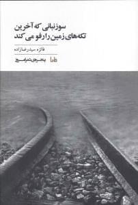 عکس سوزنبانی که آخرین تکه‌های زمین را رفو می‌کند
