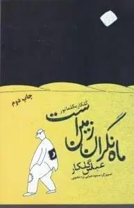عکس ماه نگران زمین است