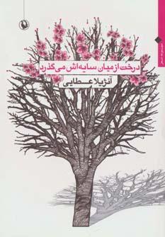 عکس درخت از میان سایه‌اش می‌گذرد