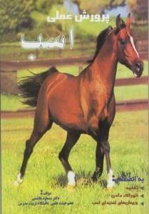 عکس پرورش عملی اسب