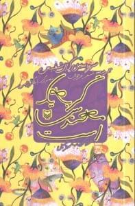 عکس گربه یک مهندس است