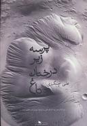 عکس پرسه زیر درختان تاغ