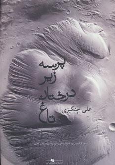 عکس پرسه زیر درختان تاغ
