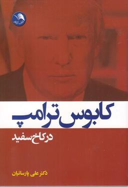 عکس تئوری حسابرسی