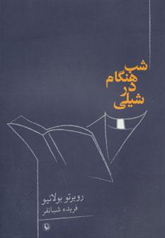 عکس شب‌هنگام در شیلی