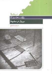 عکس پرواز در سقوط
