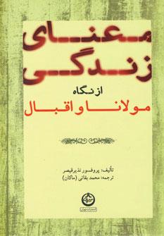 عکس معنای زندگی از نگاه مولانا و اقبال