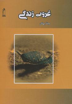 عکس غروب زندگی