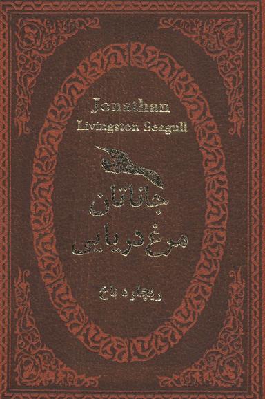 عکس جاناتان مرغ دریایی