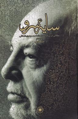 عکس سایه سرو