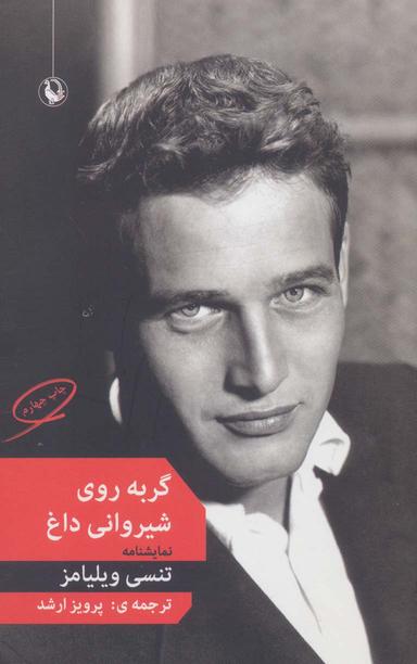 عکس گربه روی شیروانی داغ