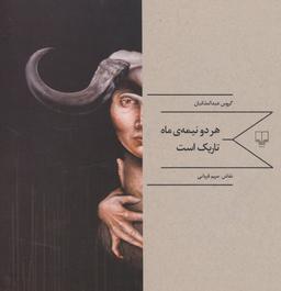 عکس هر دو نیمهٔ ماه تاریک است