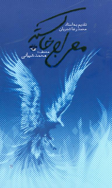 عکس معراج خاکستر
