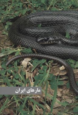 عکس مارهای ایران