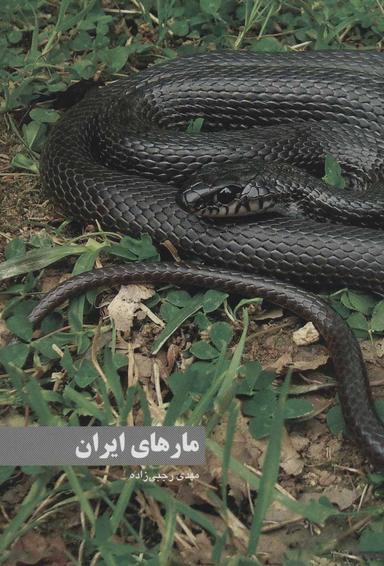 عکس مارهای ایران