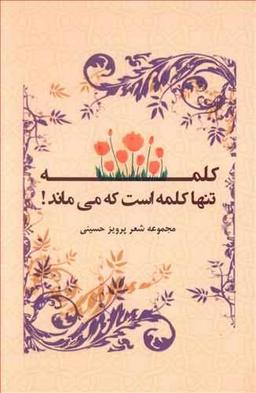 عکس کلمه، تنها کلمه است که می‌ماند! مجموعه شعر