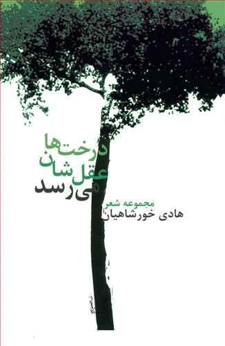 عکس درخت‌ها عقلشان می‌رسد