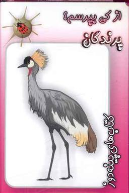 عکس پرندگان
