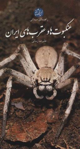 عکس راهنمای میدانی عنکبوت‌ها و عقرب‌های ایران