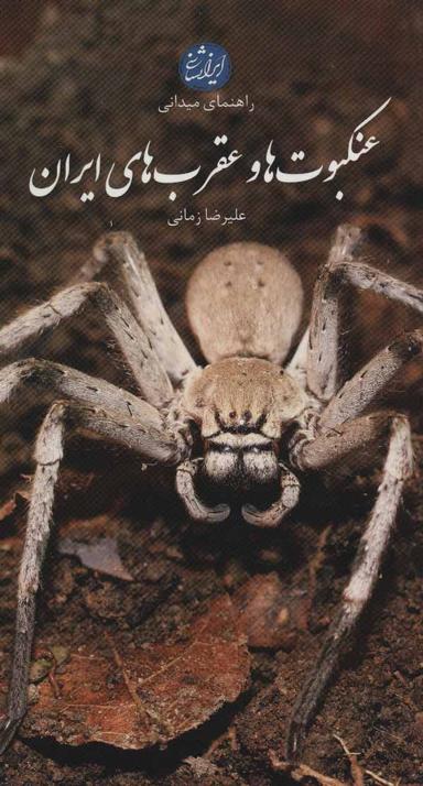 عکس راهنمای میدانی عنکبوت‌ها و عقرب‌های ایران