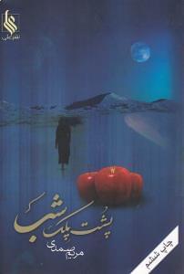 عکس پشت پلک شب