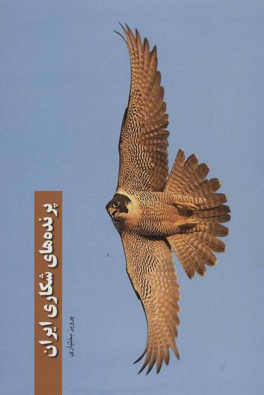 عکس پرنده‌های شکاری ایران