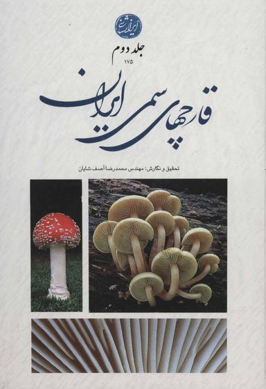 عکس قارچ‌های سمی ایران