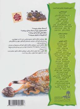 عکس آب‌سنگ‌های مرجانی