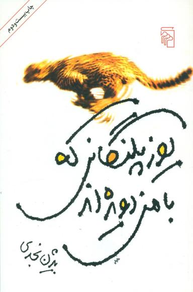عکس یوزپلنگانی که با من دویده‌اند