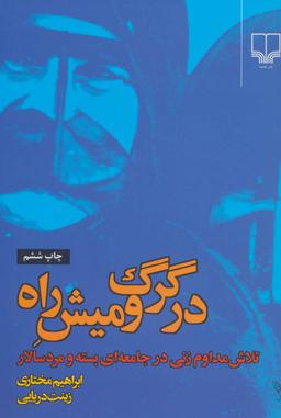 عکس در گرگ و میش راه