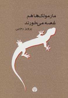 عکس مارمولک‌ها هم غصه می‌خورند