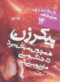 عکس پیکر زن همچون میدان نبرد در جنگ بوسنی