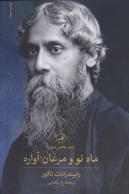 عکس ماه نو و مرغان آواره