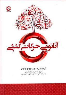 عکس آناتومی حرکات کششی