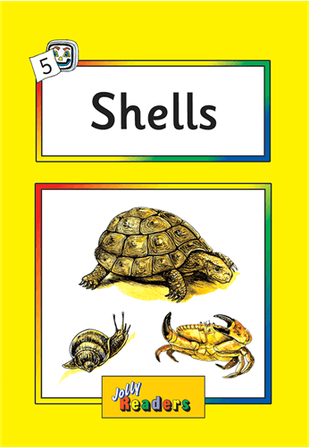 عکس Shells