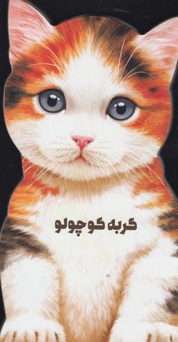 عکس گربه کوچولو