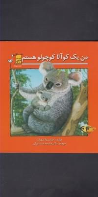عکس من یک کوآلا کوچولو هستم
