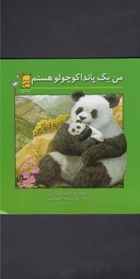 عکس من یک پاندا کوچولو هستم