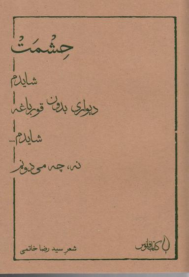 عکس حشمت، شایدم دیواری بدون قورباغه شایدم نه، چه می‌دونم