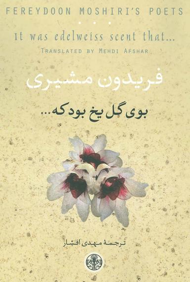 عکس بوی گل یخ بود که…
