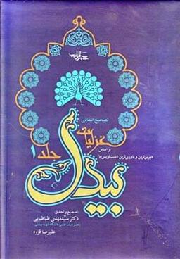 عکس تصحیح انتقادی غزلیات بیدل